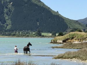 marlborough sounds