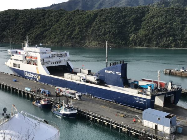 bluebridge ferry